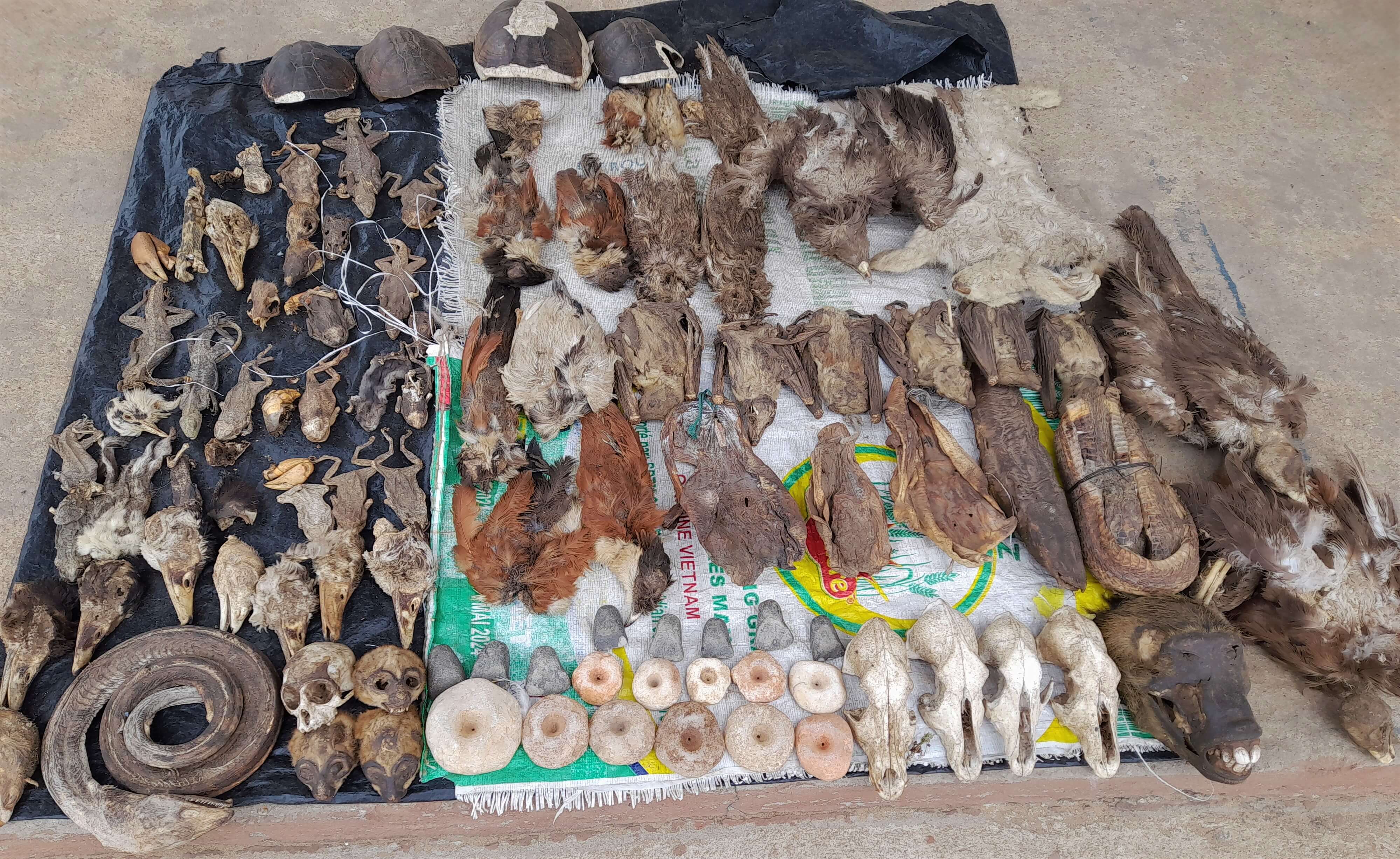visite du marche des fetiches