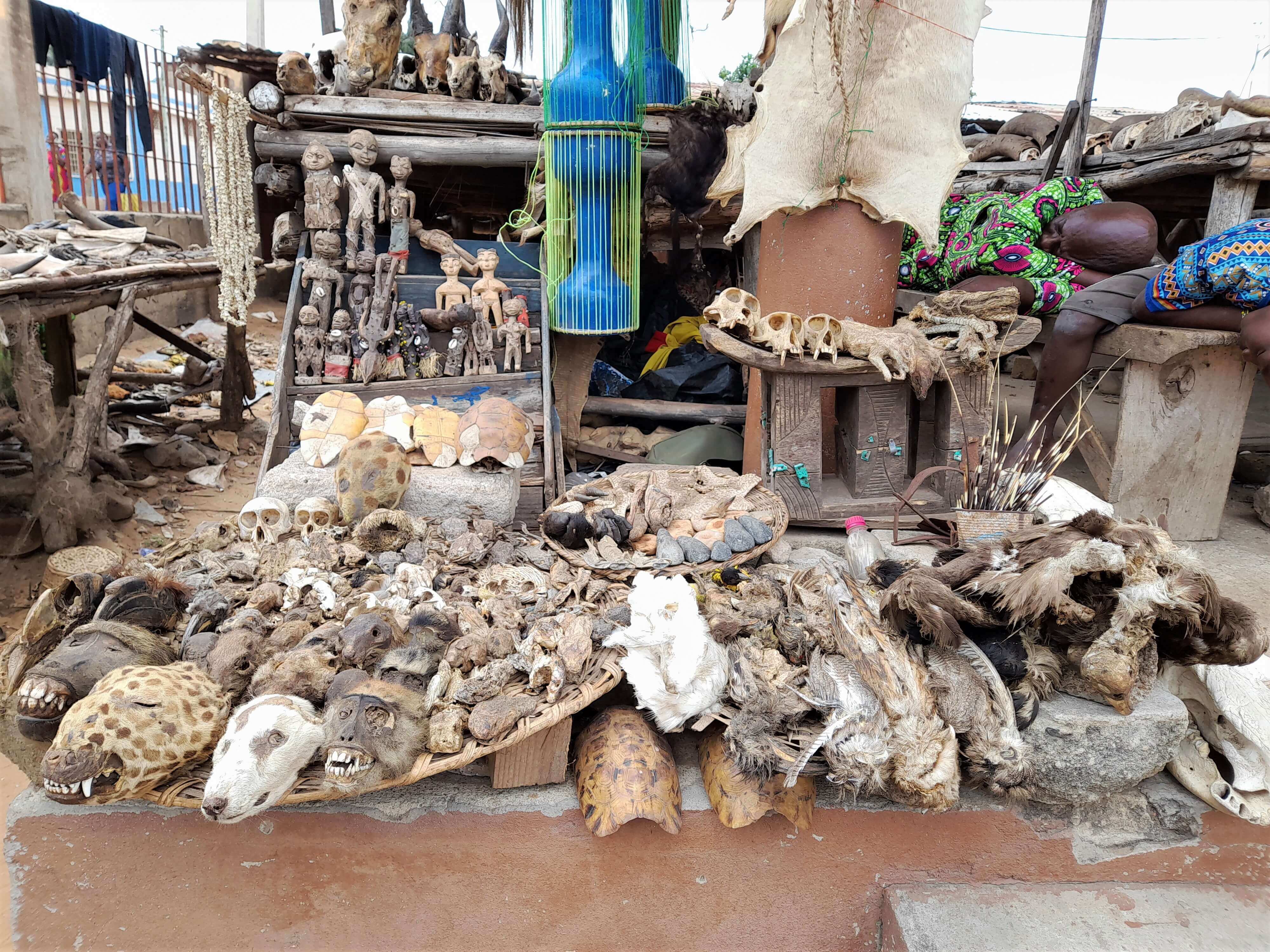 Akodessewa: au marché des fétiches du Togo