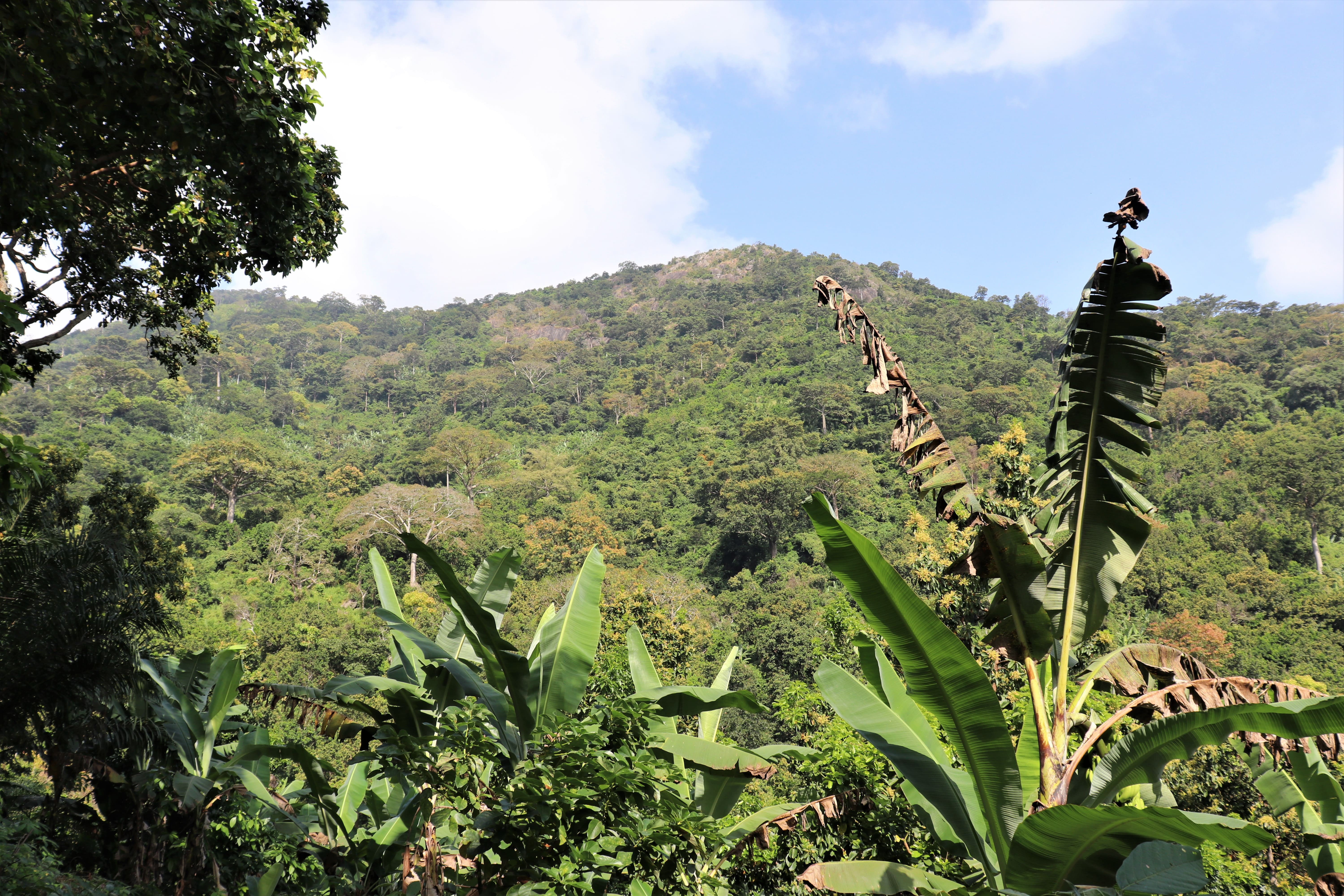 paysage sur le mont Agou